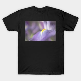 Iris in Soft Light T-Shirt